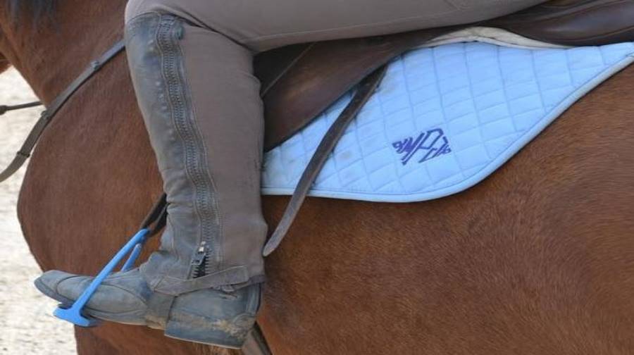 ariat chaps sizing