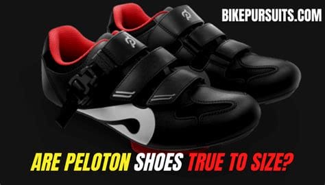 plt shoes true to size