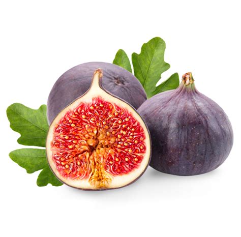 How tight should figs be?