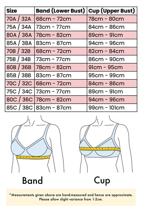 Victoria s Secret Bra Size Comparison
