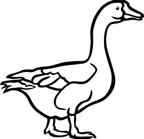 Is Golden Goose is cheaper in Italy?