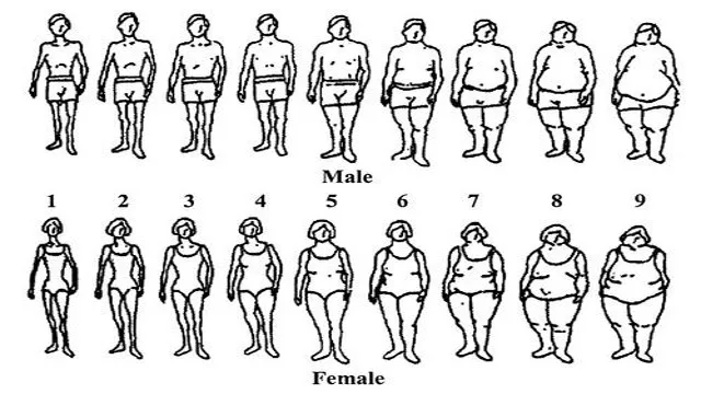 Free People Dress Size Chart