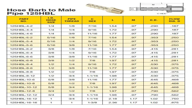 an fitting hose size chart