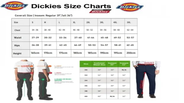 dickies pants size chart cm