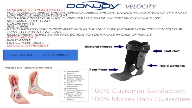 donjoy ankle brace size chart