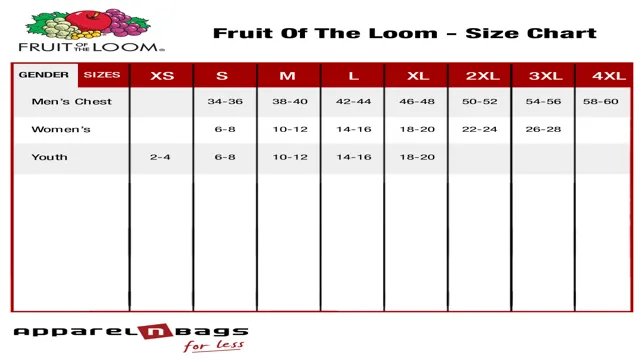 fruit loom t shirt size chart